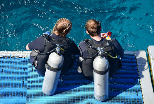 buddy divers looking at water
